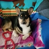 Entry image for Otis Hernandez