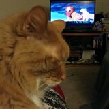 Entry image for Oliver