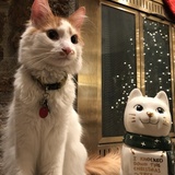 Entry image for Colby Jack