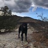 Entry image for Lexi 