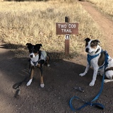 Entry image for Owen and Enzo