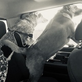 Entry image for Wylie and Finn