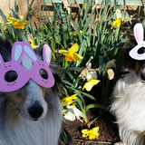 Entry image for Hero&Thor