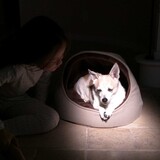 Entry image for Big Mack (Macky)