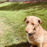 Entry image for Alaska