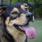 Entry image for Autumn