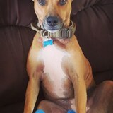 Entry image for Mollie