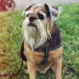 Entry image for Kyle 