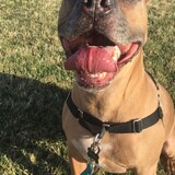 Entry image for Kierra