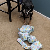 Entry image for Loki