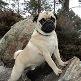 Entry image for Otis 