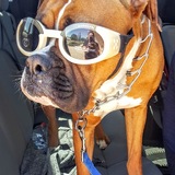 Entry image for Thomas James 