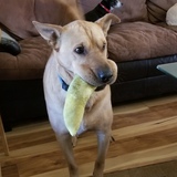 Entry image for Olaf