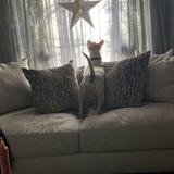 Entry image for Zoey