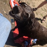 Entry image for Coco