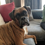 Entry image for Leila