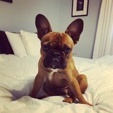 Entry image for Desmond