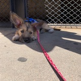 Entry image for Yoda