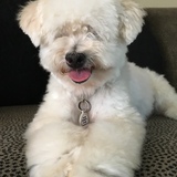 Entry image for Mamie