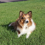 Entry image for Kiley J. Hackett