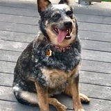 Entry image for Summer