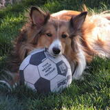 Entry image for Kiley J Hackett