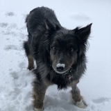 Entry image for Darby 