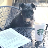 Entry image for Vader Foster