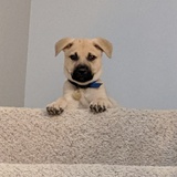 Entry image for Cooper Mohre