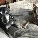 Entry image for Kira and Tawnie