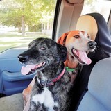 Entry image for Emma & Grimm