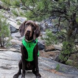 Entry image for Klaus Ruger Mohr