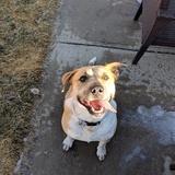 Entry image for Toast