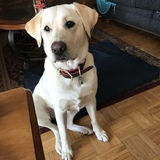 Entry image for Sidney 