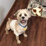 Entry image for Augustus “Auggie” McRae