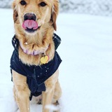 Entry image for Ruby