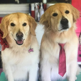 Entry image for KC and Callie Knull