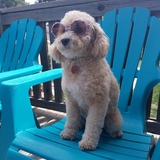 Entry image for Athena