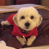 Entry image for Muffin