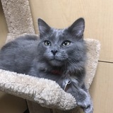 Entry image for Junebug