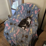 Entry image for Smokey