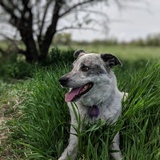 Entry image for Emma