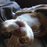 Entry image for Yaki M. Soba