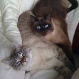 Entry image for Samantha and Abigail