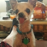 Entry image for Larry King