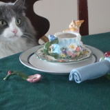 Entry image for Truffles