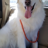 Entry image for Sully