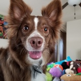 Entry image for Theo