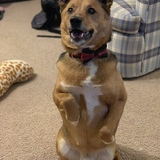 Entry image for Zeus