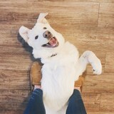 Entry image for Luna